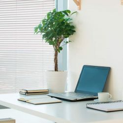 ES GLASS Çift Cam Arası Jaluzi SistemleriUygulamalar